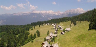 Bogastvo gozdov ter čudovite planine in gore (planina Zajamniki, v ozadju Julijske Alpe in Triglav).