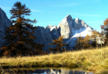 Kranjska Gora – kraj, kjer je Kekec našel vijolico Na predavanju nam je pokazal na stotine fotografij s svojih izletov po Julijskih Alpah in Karavankah. Očarani smo bili nad lepotami naših gora.