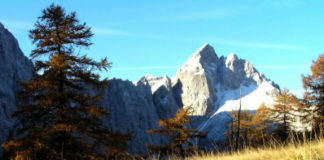 Kranjska Gora – kraj, kjer je Kekec našel vijolico Na predavanju nam je pokazal na stotine fotografij s svojih izletov po Julijskih Alpah in Karavankah. Očarani smo bili nad lepotami naših gora.