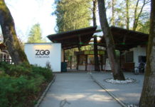ZOO Ljubljana – poučen in čudovit izlet za vse starosti