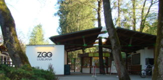 ZOO Ljubljana – poučen in čudovit izlet za vse starosti