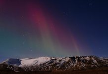 Polarni sij