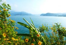 Tajvan – otok, kjer si ljudje vzamejo čas za sočloveka in hrano
