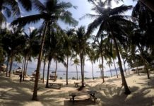 Med 746 kandidati sem bila izbrana za sanjsko službo in odpotovala na Filipine