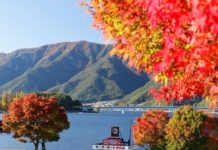 Japonska – Tokio in gora Fuji