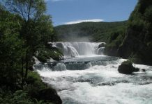 Zelena zahodna Bosna