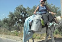 Albanija- drugačna kultura, vrednote in navade