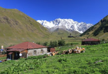 Gruzija, dežela sonca in vina