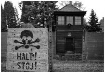 Krakov in Auschwitz: Po poteh filma Šindlerjev seznam Auschwitz