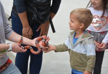 Zoo Zagreb – poučen izlet “za otroke vseh starosti”