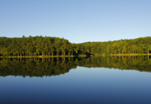 Bukovniško jezero