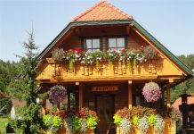 Apartmaji Korošec – poletje na deželi