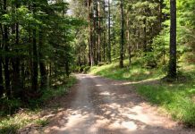 5 zanimivih tematskih poti po Sloveniji
