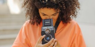 Flamingi in divji konji v Nemčiji