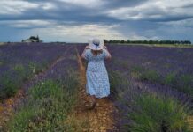 Severna Italija in Provansa