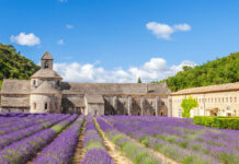 Top 10 krajev na svetu za pomladni pobeg