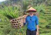 Indonezija – med bogovi, vulkani in turkiznim morjem – 2. del Indonezija potopis